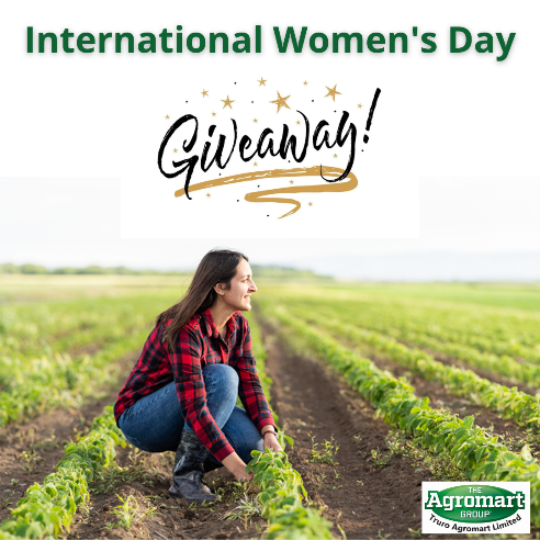 international women's day giveaway poster, showing a woman crouched in a field