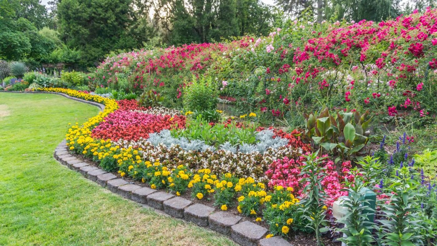 Photo of Backyard garden with beautiful flowers, Lawn & Garden 