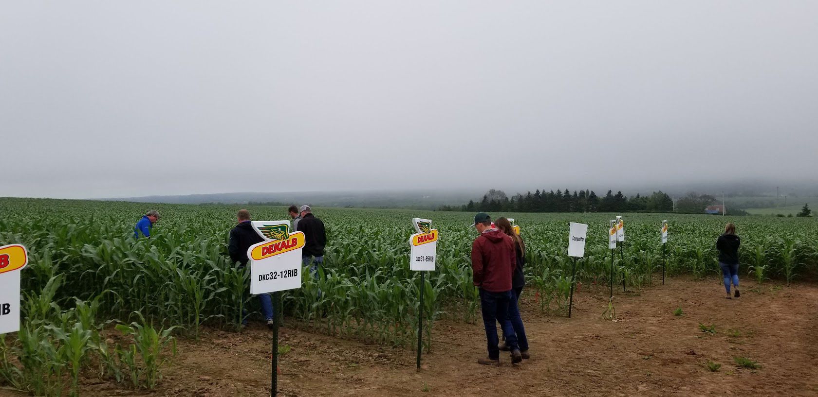 Photo of customers perusing Truro Agromart's crops, Dekalb signs throughout