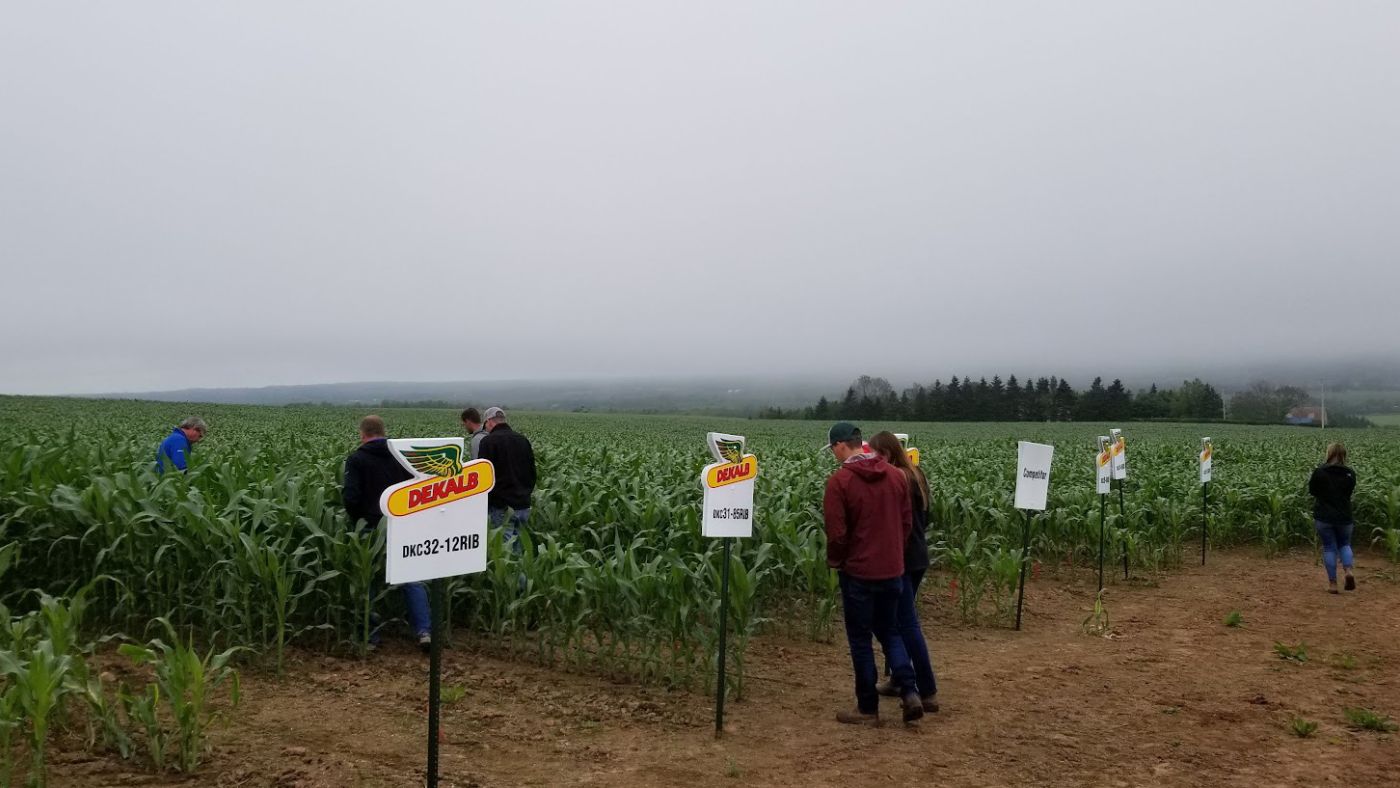Photo of customers perusing Truro Agromart's crops, Dekalb signs throughout