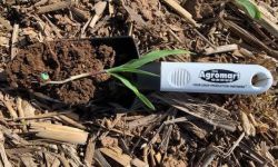 Truro Agromart shovel with soil on crop Truro Agromart Ltd.