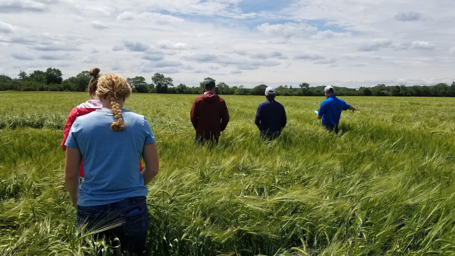 Crop advisors looking at the pasture with customers on a crisp day with blue skies