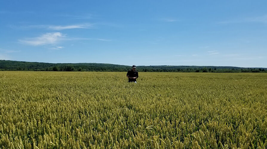 Crop advisors looking at the pasture with customers on a crisp day with blue skies