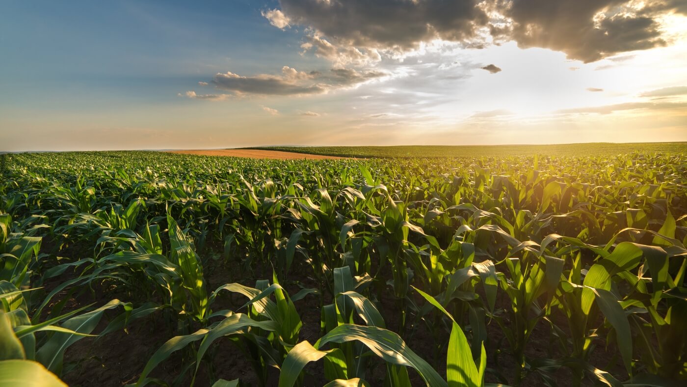 Nova Scotia farmland, Truro Agromart Ltd.