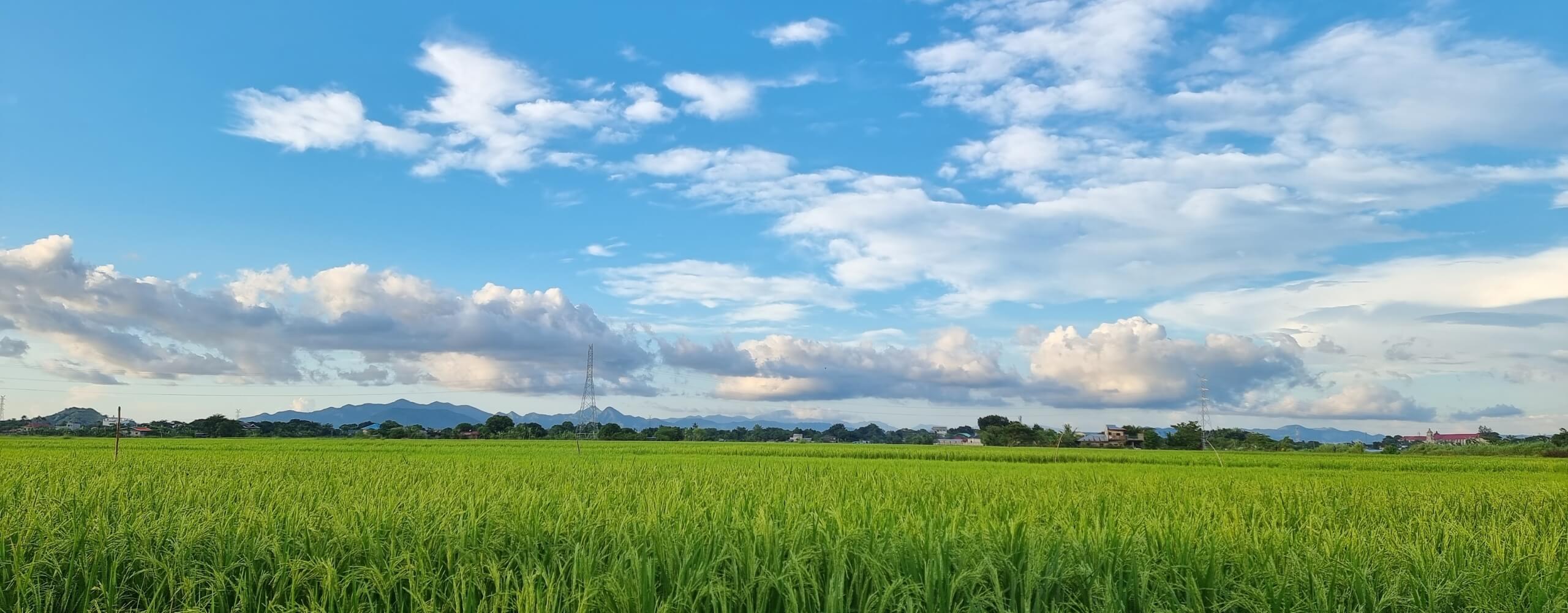 Nova Scotia farmland with blue skies