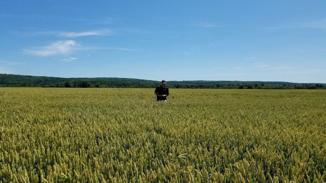 Crop advisors looking at the pasture with customers on a crisp day with blue skies
