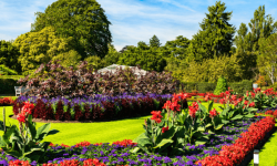 Lawn and Garden photo beautiful backyard garden Truro Agromart Ltd.